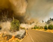 white vehicle near tall tree at cloudy sky during daytime